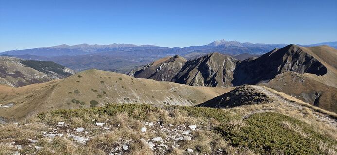 Fotografija s spletne strani Chantra Malorni na poti