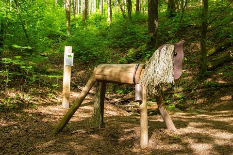 Pferd Grafenschatzweg