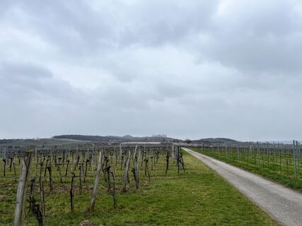 Foto von Werner Etzelsdorfer entlang der Tour