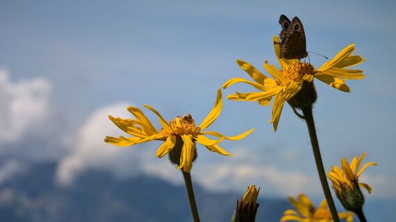 Foto fra Klaus Lehner undervejs på turen