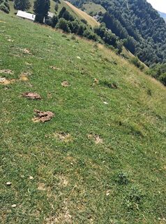 Foto von Marco Pezzuolo entlang der Tour