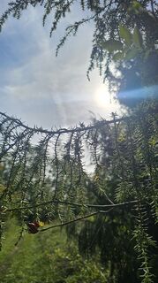 Fotografia z Boba Weishaar na trase