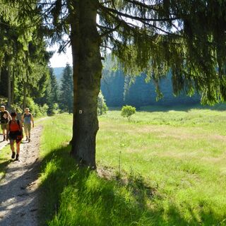 Im Tal der weißen Schwarza