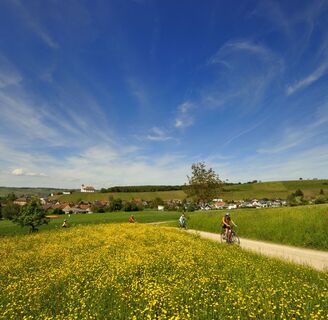 Wilchingen