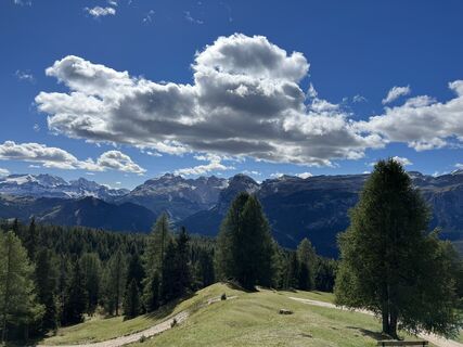 Fotografia z Ts na trase