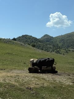 Foto von kani entlang der Tour