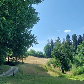 Naturidylle bei Herrenfeld