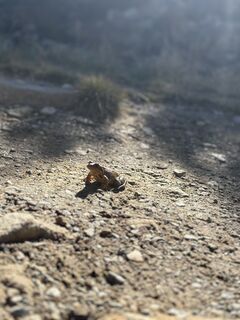 Foto von Mats Neumann entlang der Tour