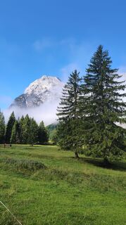 Fotografia z Ludwig Georg Kretschmann na trase