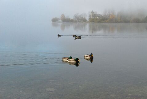 Drei-Seen-Blick / Grundlsee - Toplitzsee - Kammersee