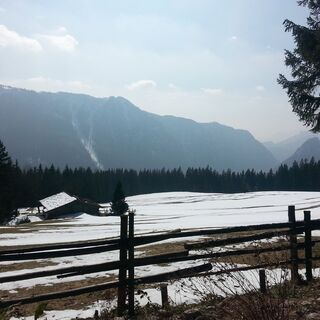 Frühling auf der Bäckeralm in Inzell