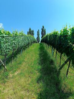 Kuva osoitteesta Peter Praschl matkan varrella