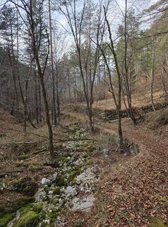 Fotografija s spletne strani Florian Dürnegger na poti