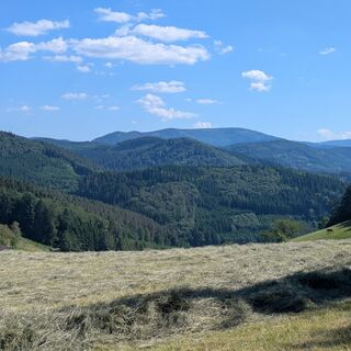 Blick in eines Täler rund um Mühlenbach
