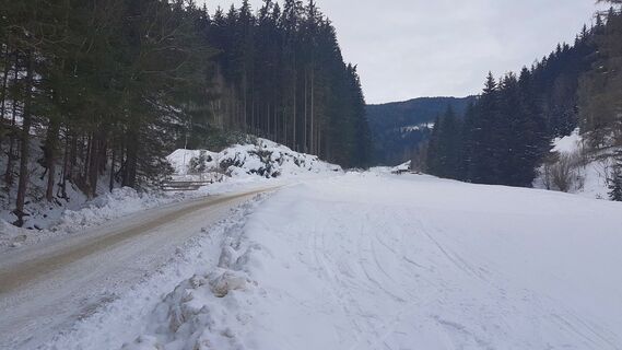 Abzweigung links nach Hofbauer