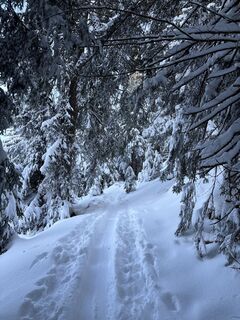 Foto von Heinz Sperl entlang der Tour