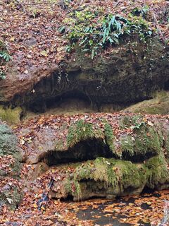 Foto från Katona Ferk Mariann under resans gång