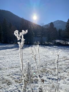 Foto von Sven Krieblin entlang der Tour