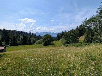 Fotografija s spletne strani Poe Michi na poti