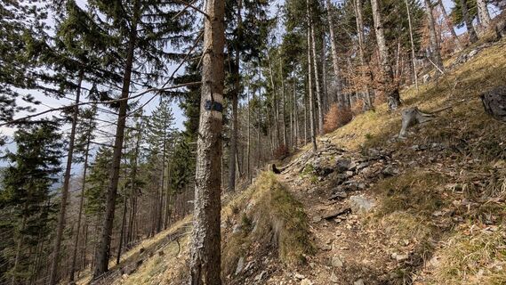 Foto von wernhard entlang der Tour