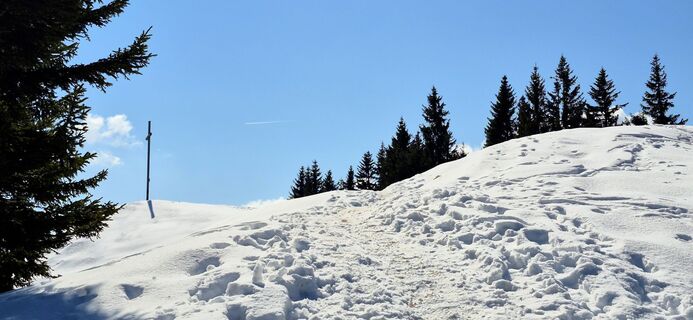 Foto de Thomas Schekira a lo largo del recorrido