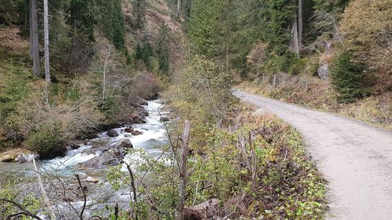 9.7 km Rechts des Debantbachs