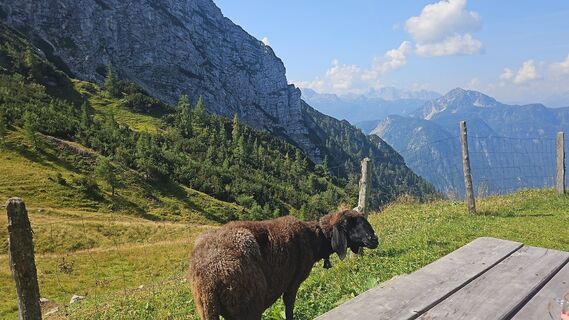 Foto von Petra silbersberger entlang der Tour