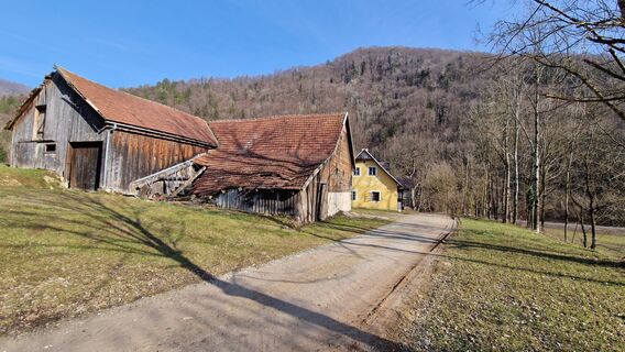 Fotografia z Ernst Brezina na trase