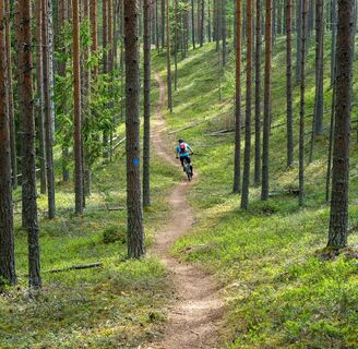 Ein holpriger Fließweg
