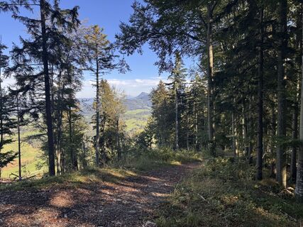 Photo de Presi2026 le long du parcours