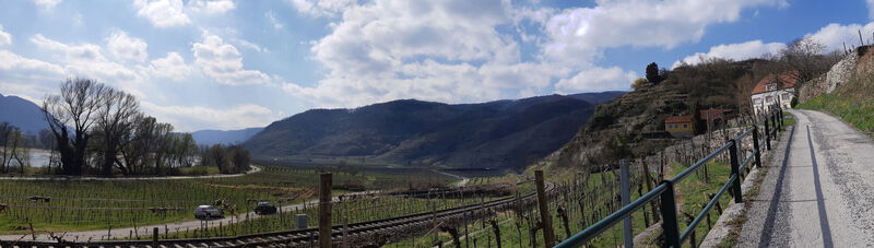 Blick in die Frauengärten