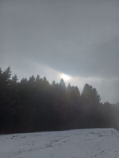 Fotografija s spletne strani Marlyse Leu na poti