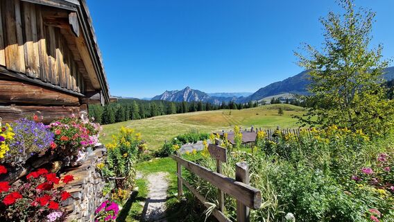 Foto von Herwig Danek entlang der Tour