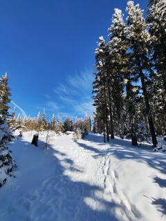 Foto de v.stein a lo largo del recorrido