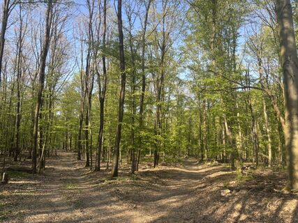 Foto de Reti Alicia a lo largo del recorrido