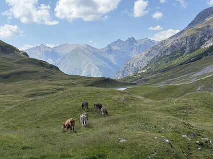 Foto von Roberto Pasolini entlang der Tour