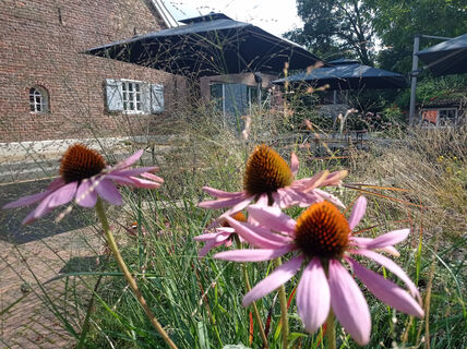 Bistro Café Ehra im Pankok Museum