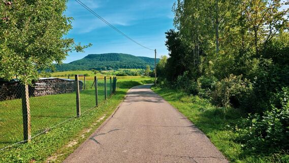 Weg Richtung Alpakafarmhofwiese