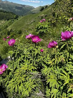 Foto von Marisa scafetta entlang der Tour