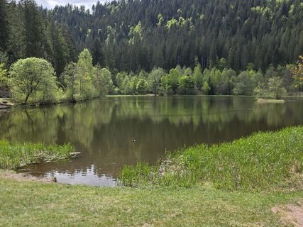 Fotografie z W B MA na trase