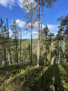 Foto von Nikolaus Ludwig 1 entlang der Tour