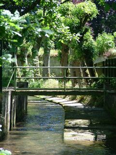 Der Sorpebach_Fabian Weisser