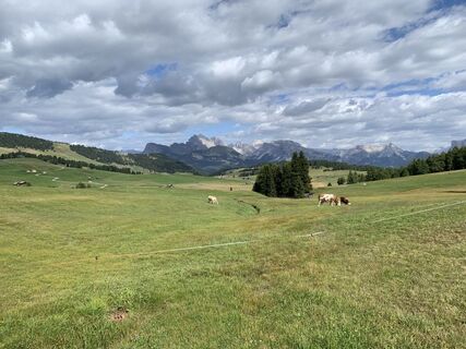 Foto von Karl-Heinz Walsdorf entlang der Tour