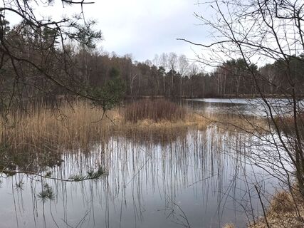 Zemljevid