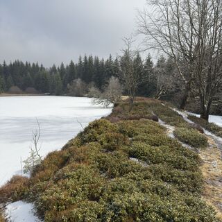Fotografia z Steffen Kiesel na trase