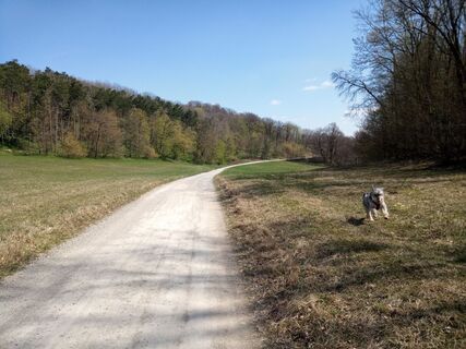 Foto von bremsrad entlang der Tour