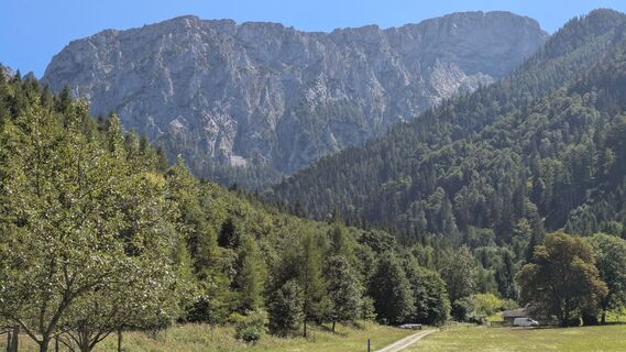 Foto de Augun a lo largo del recorrido