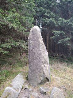 Foto de Wollomator a lo largo del recorrido