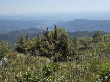 Photo de Axel Holtz le long du parcours