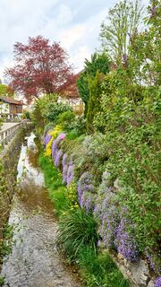 Wanderung Oberwarngau Taubenberg